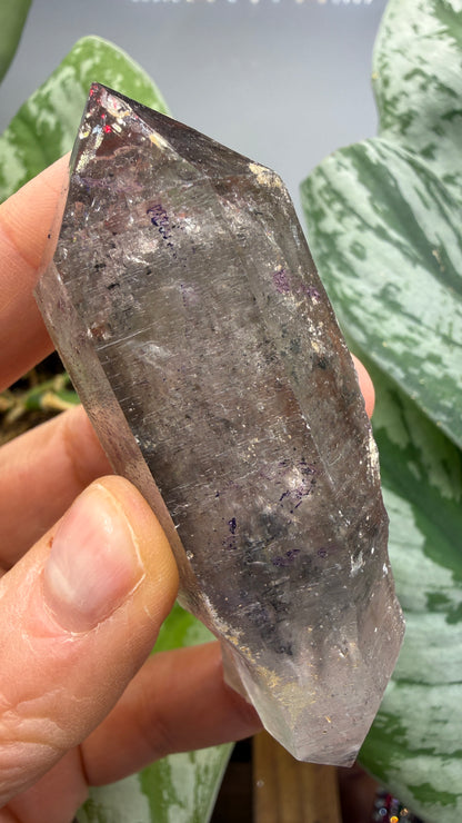 Quartz Enhydro (fluid and carbonaceous inclusions)