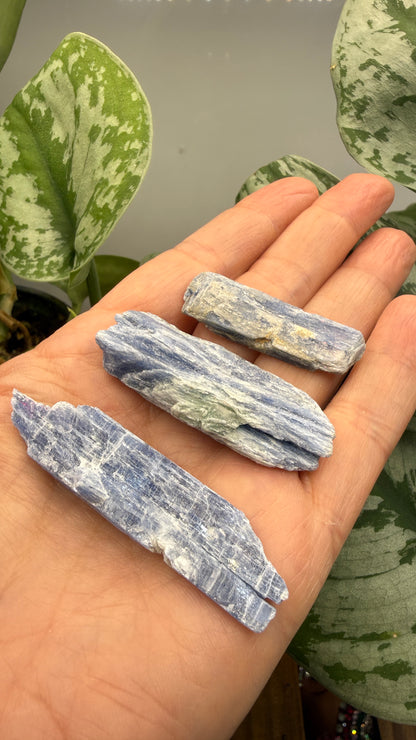 Blue Kyanite Parcel