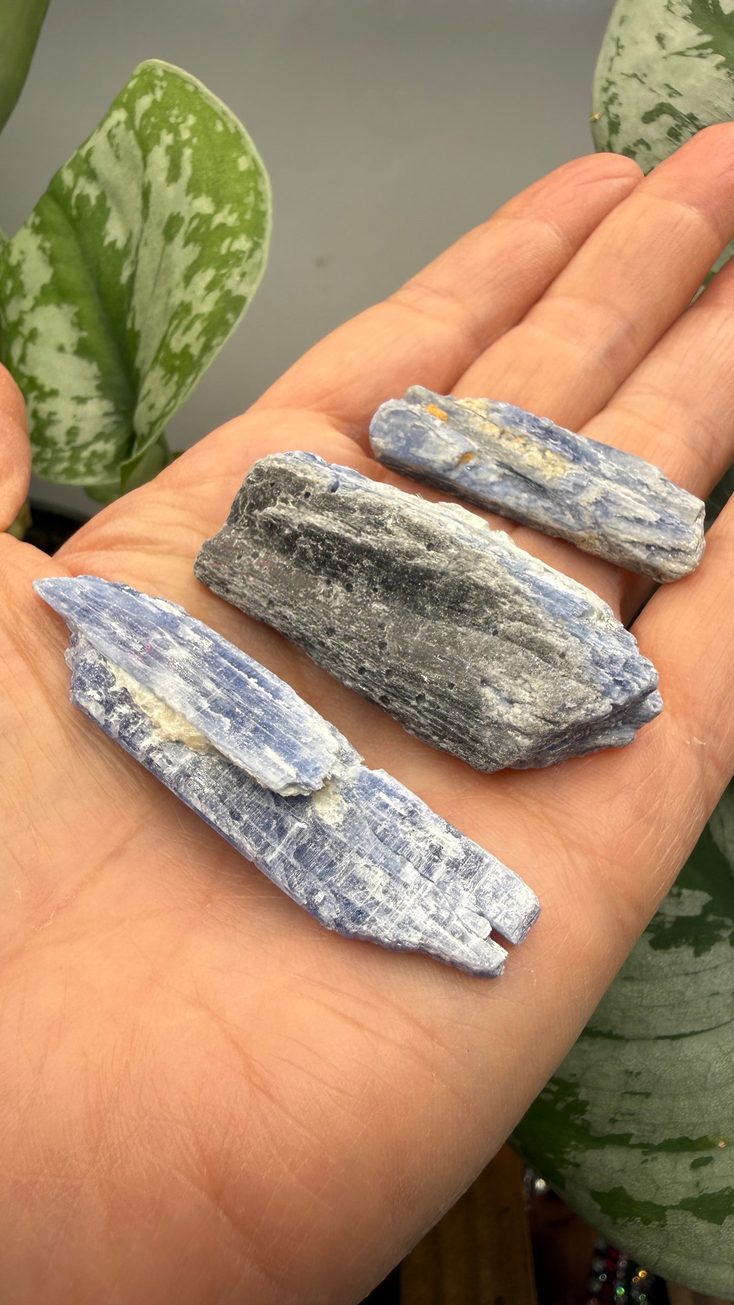 Blue Kyanite Parcel