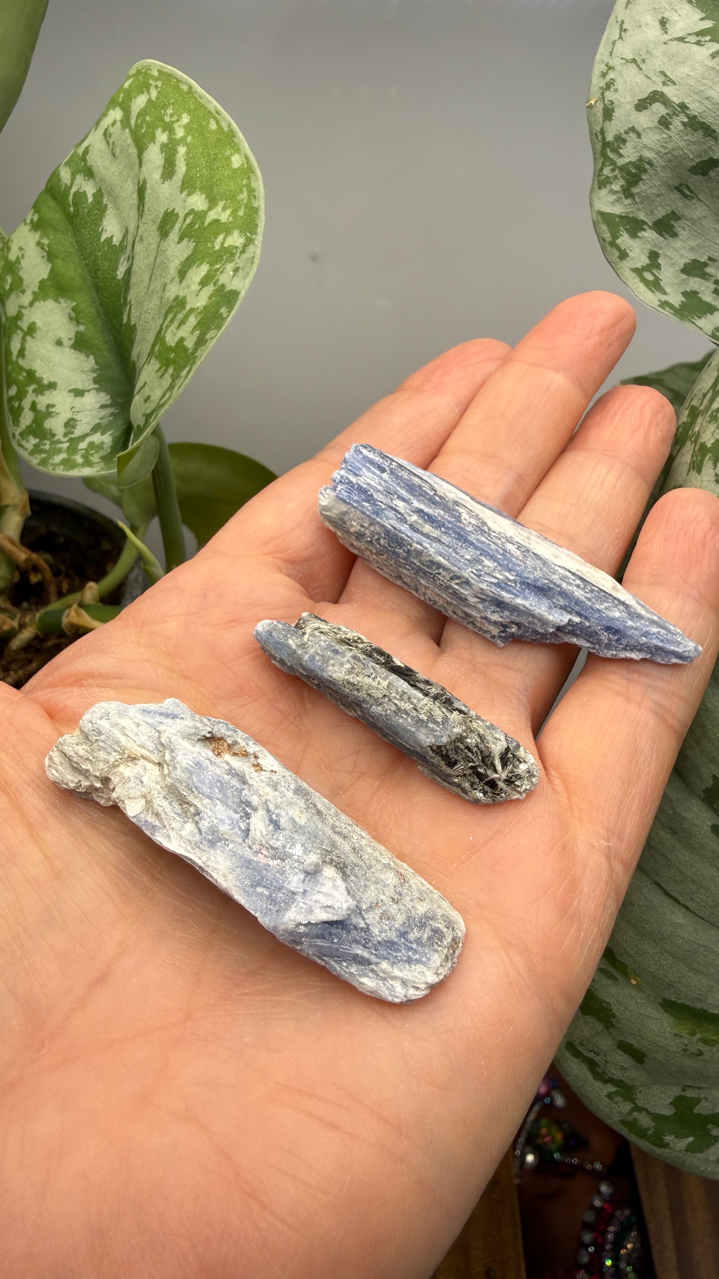 Blue Kyanite Parcel