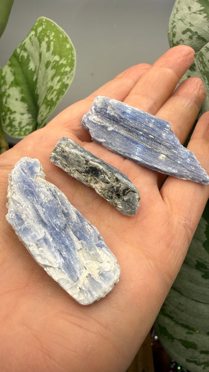 Blue Kyanite Parcel
