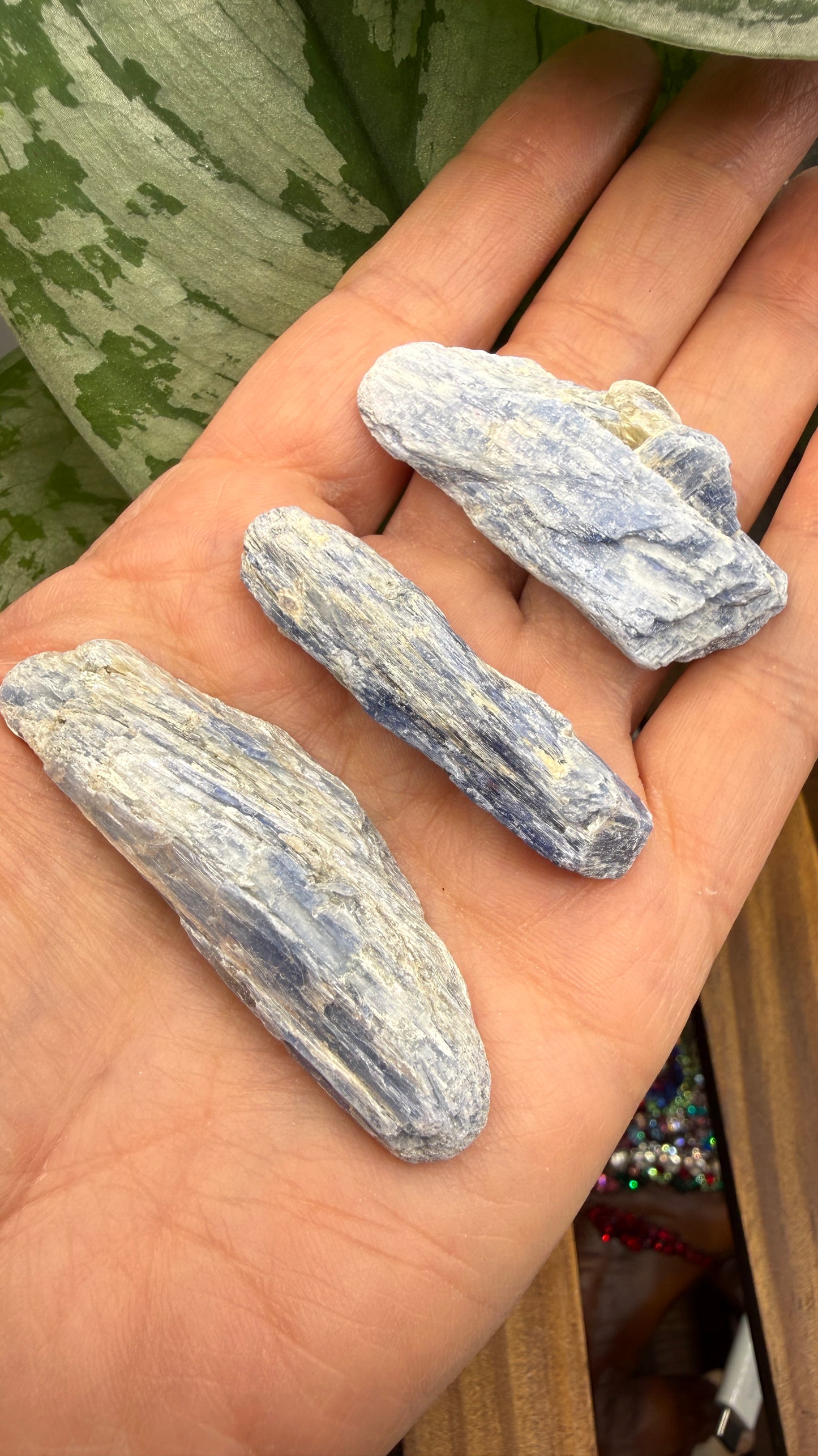 Blue Kyanite Parcel