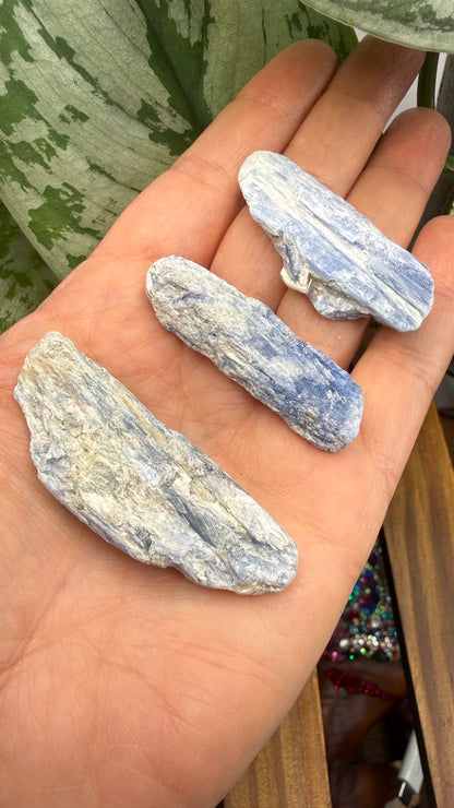 Blue Kyanite Parcel