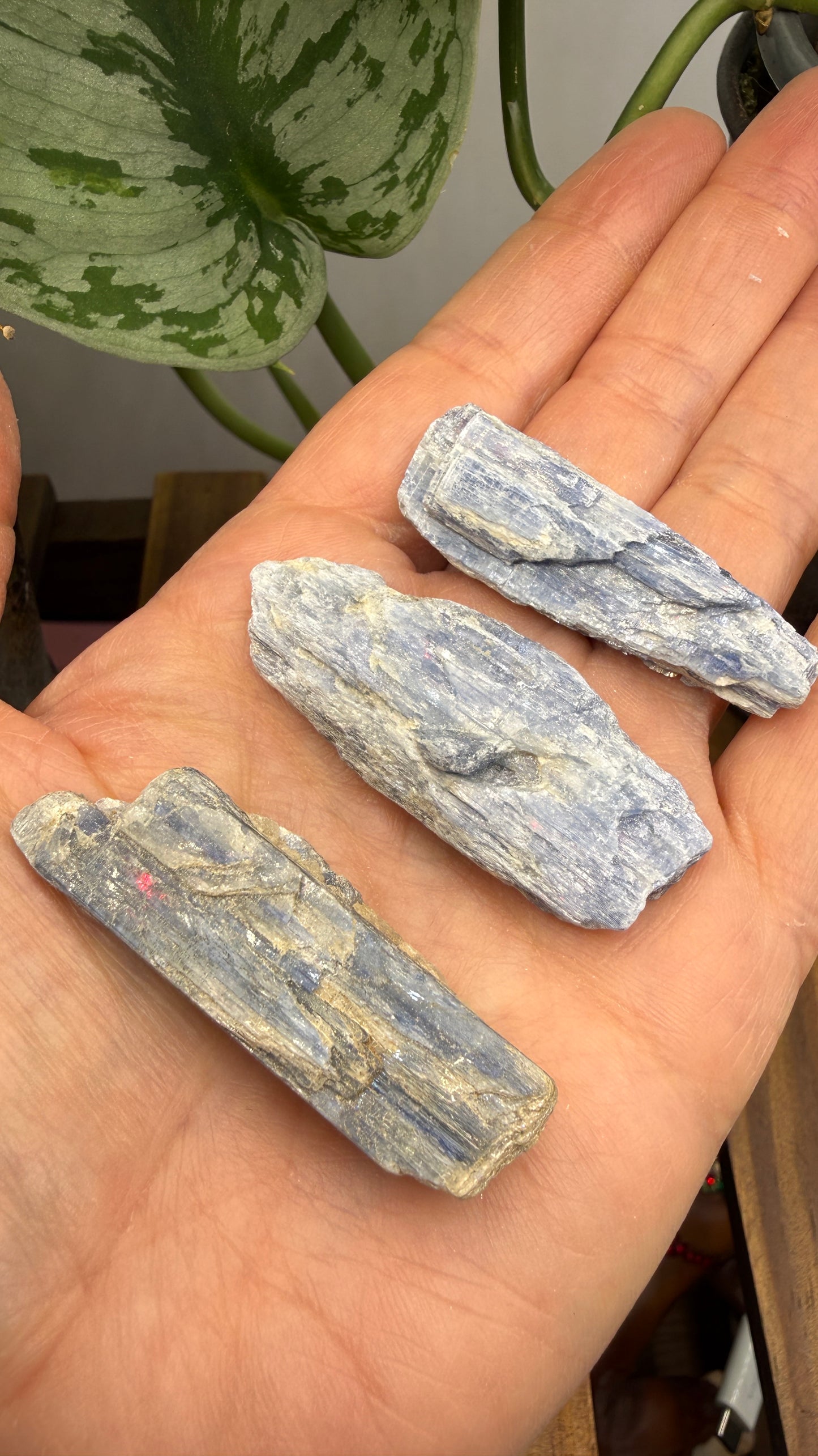 Blue Kyanite Parcel