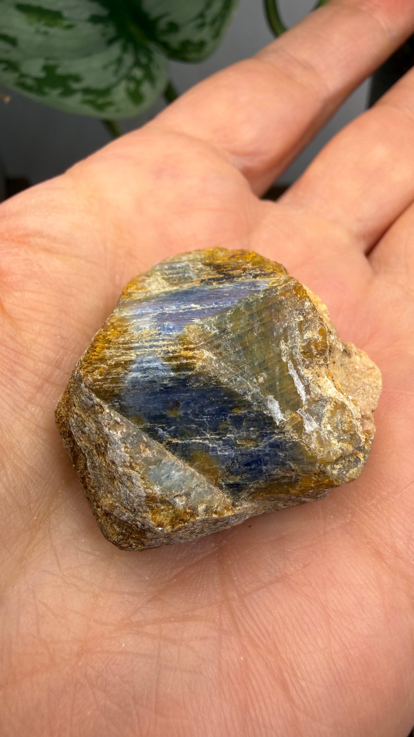 Natural Blue Sapphire Rough- 166.8 ct total
