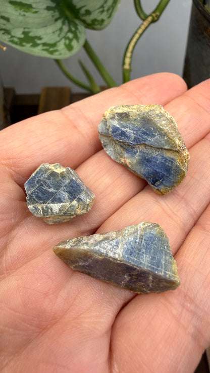 Natural Blue Sapphire Rough Parcel- 100.0 ct total