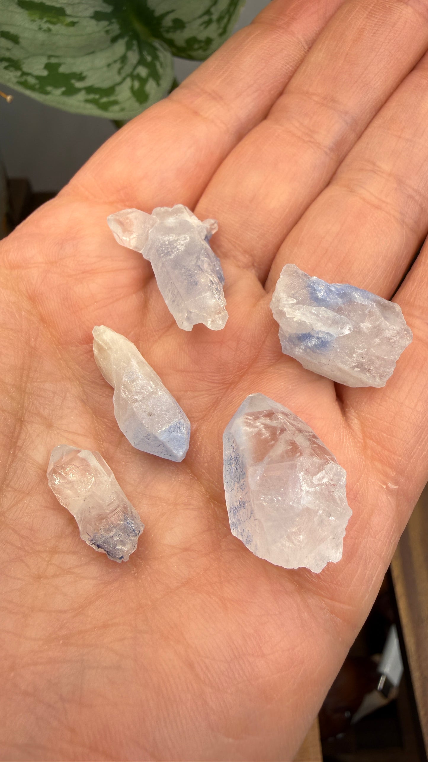 Dumortierite in Quartz Parcel- Vaca Morta quarry, Serra da Vereda, Bahia, Brazil