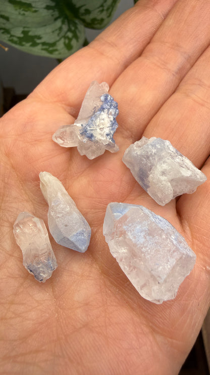 Dumortierite in Quartz Parcel- Vaca Morta quarry, Serra da Vereda, Bahia, Brazil
