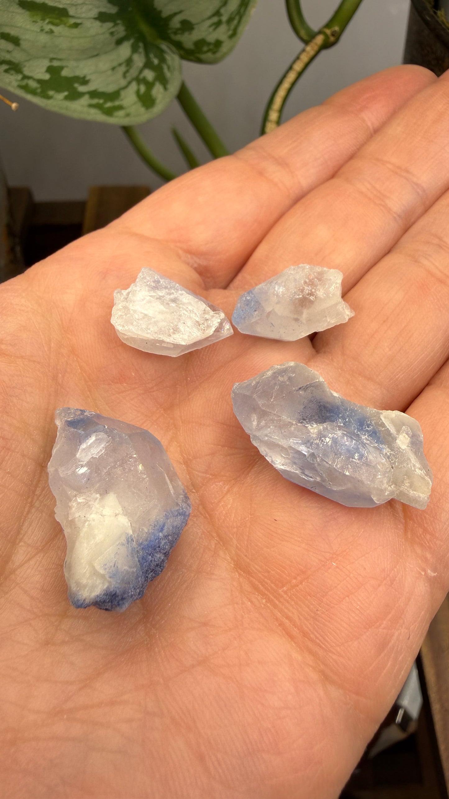 Dumortierite in Quartz Parcel- Vaca Morta quarry, Serra da Vereda, Bahia, Brazil