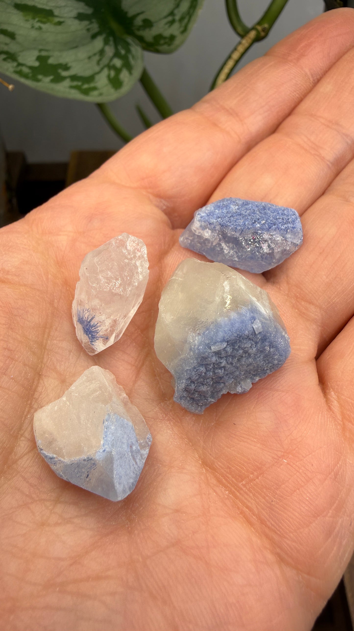 Dumortierite in Quartz Parcel- Vaca Morta quarry, Serra da Vereda, Bahia, Brazil