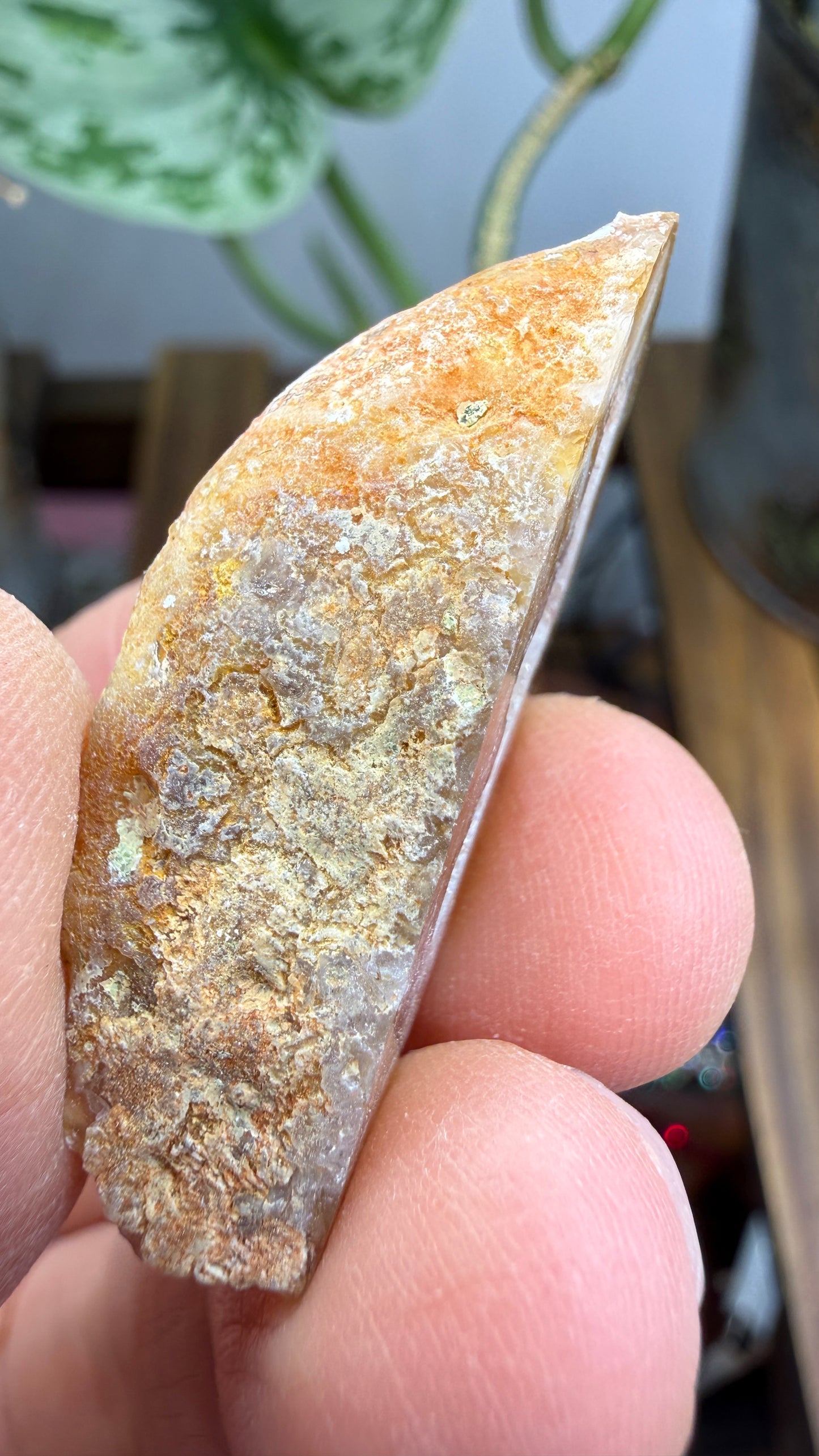 Polished Agate Geode Half with Druzy Quartz