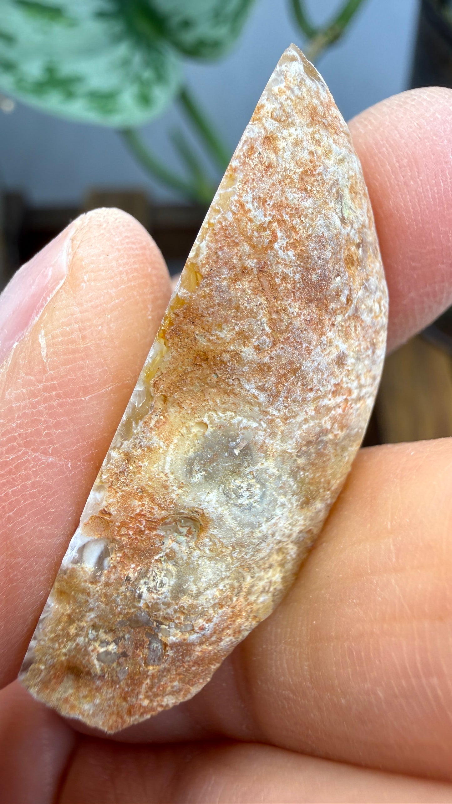 Polished Agate Geode Half with Druzy Quartz
