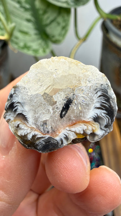 Polished Agate Geode Half with Druzy Quartz