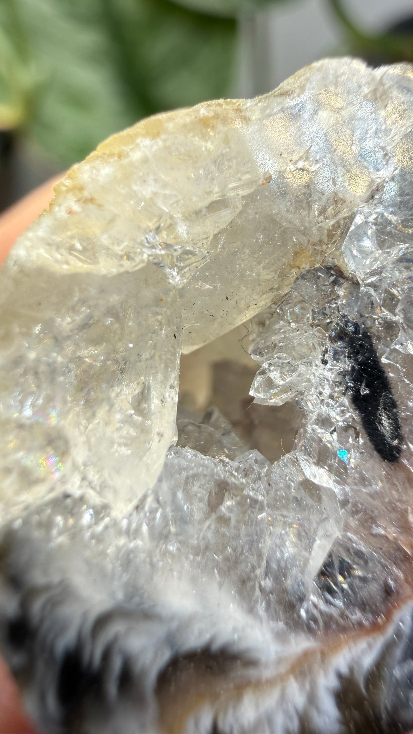 Polished Agate Geode Half with Druzy Quartz