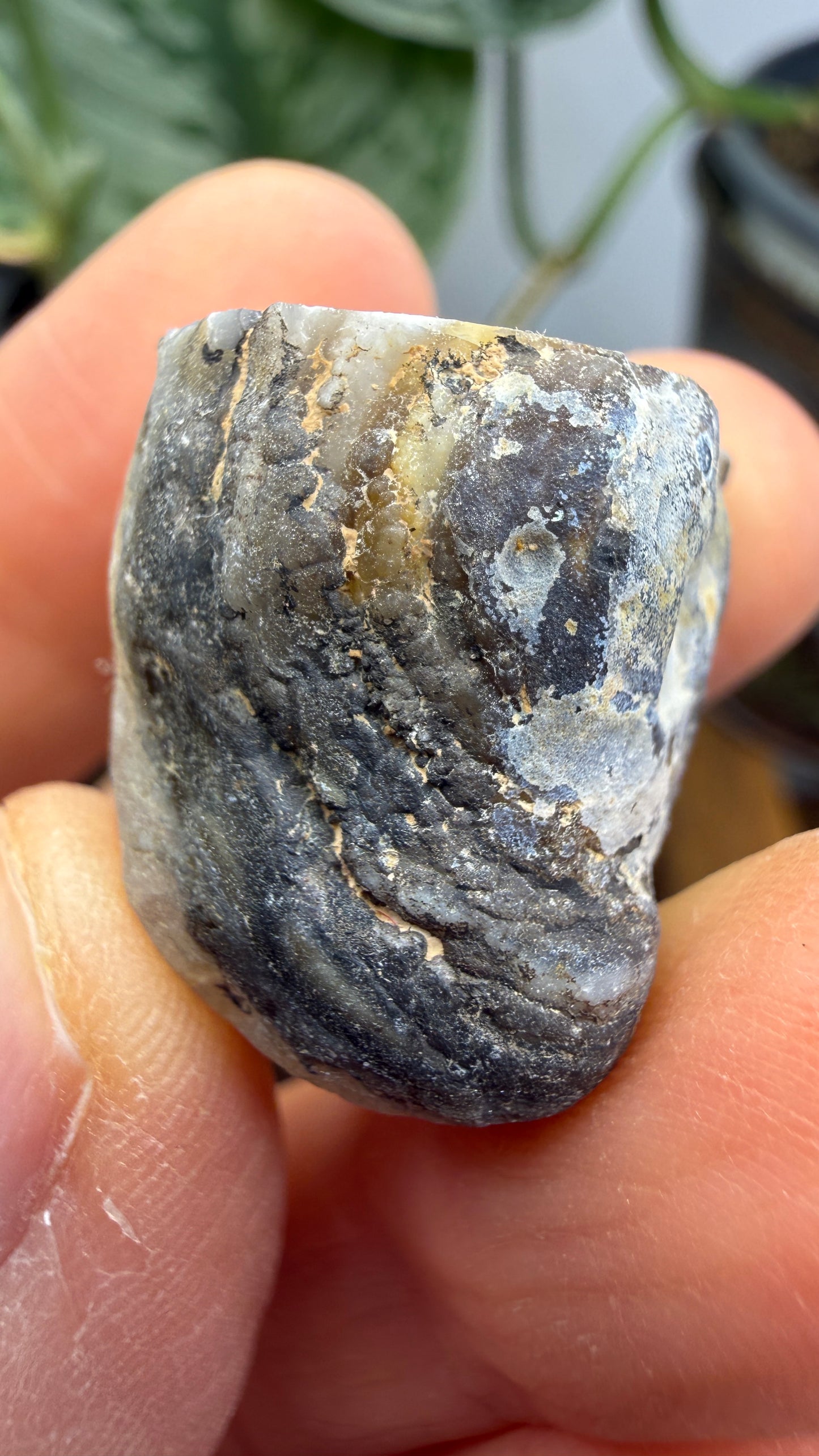 Polished Agate Geode Half with Druzy Quartz