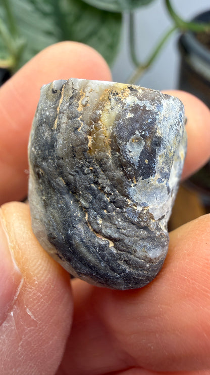 Polished Agate Geode Half with Druzy Quartz