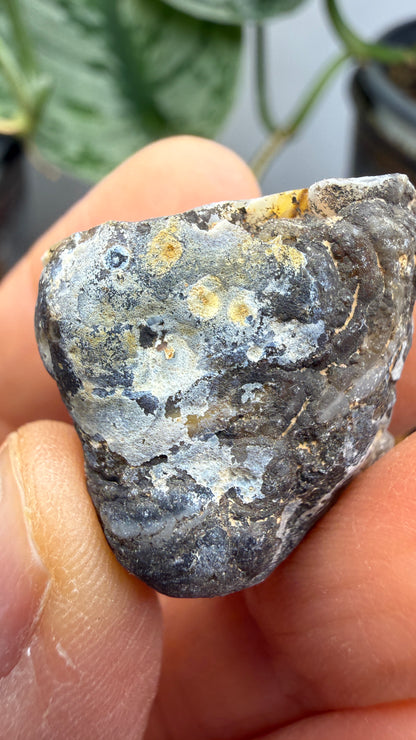 Polished Agate Geode Half with Druzy Quartz
