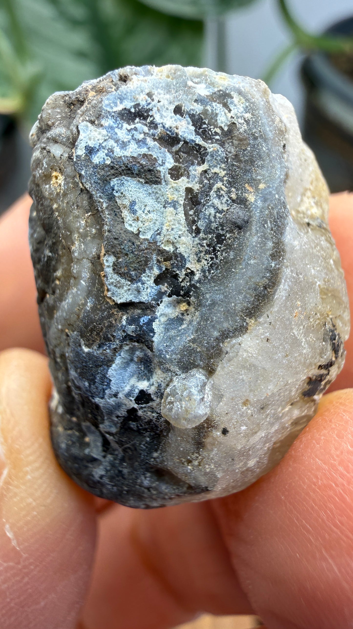 Polished Agate Geode Half with Druzy Quartz