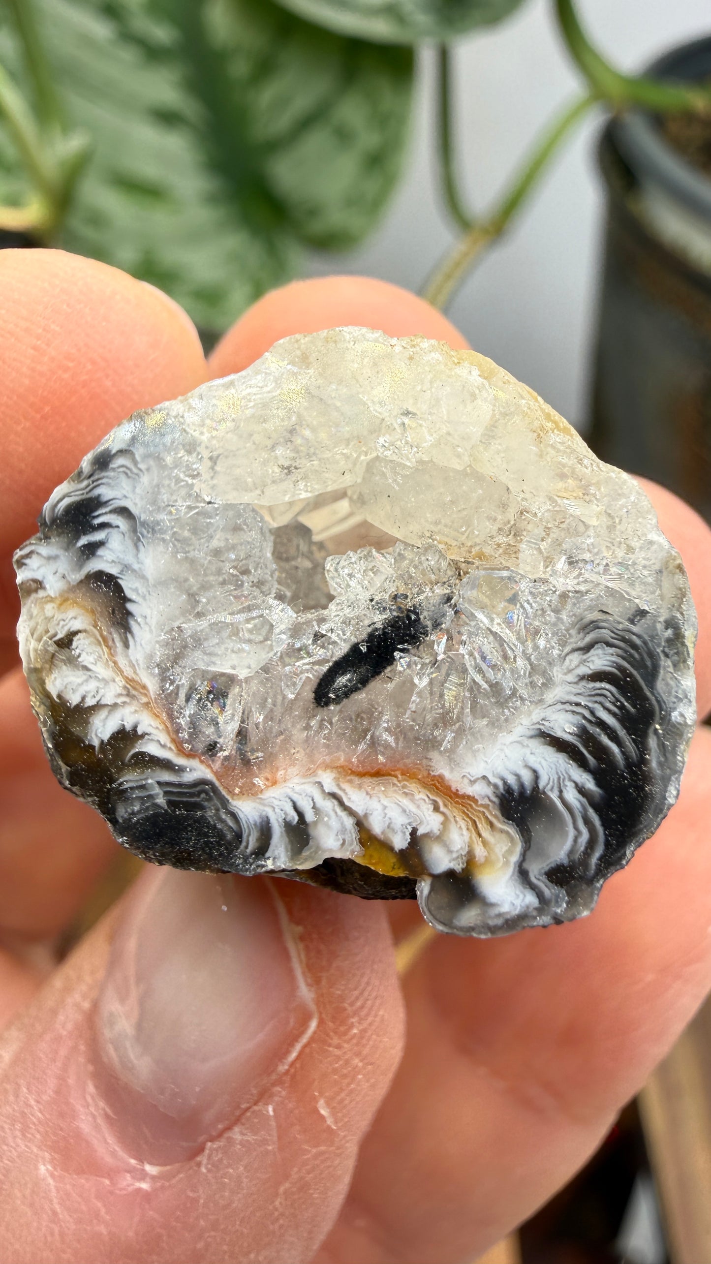 Polished Agate Geode Half with Druzy Quartz