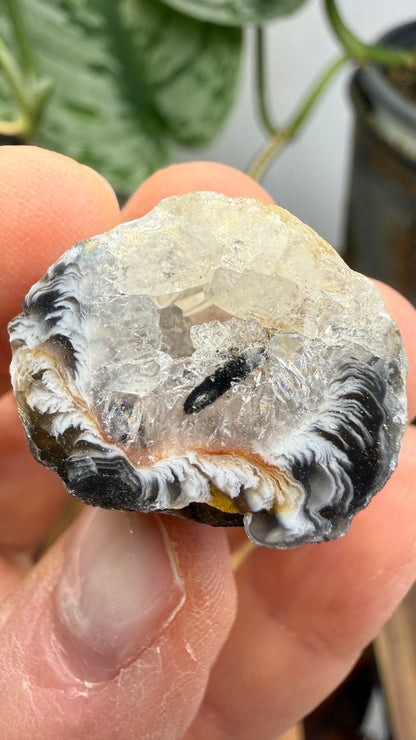 Polished Agate Geode Half with Druzy Quartz