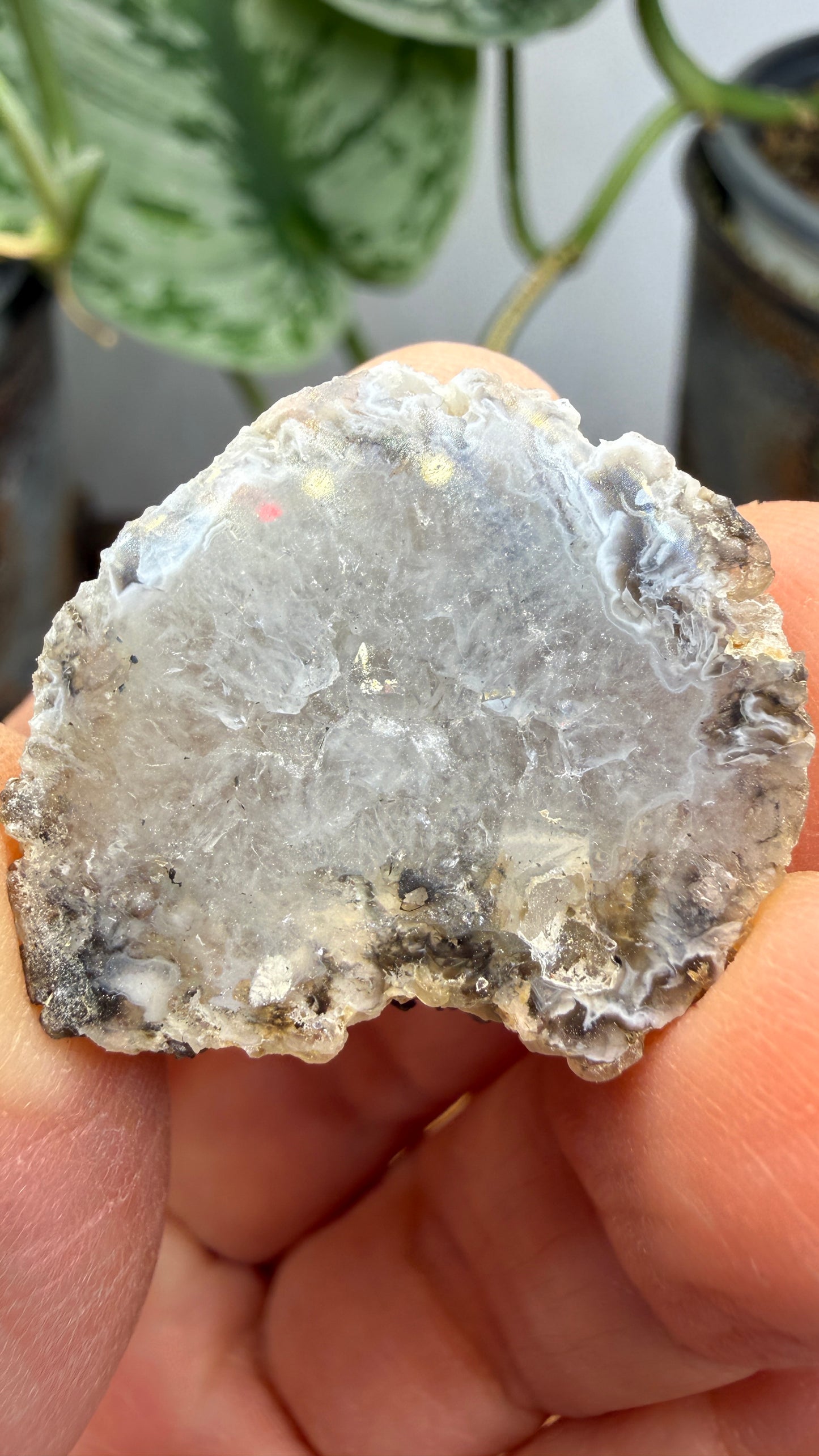 Polished Agate Geode Half with Druzy Quartz