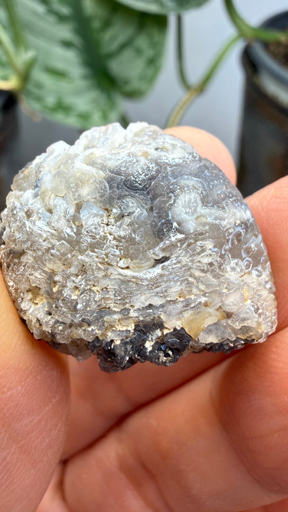 Polished Agate Geode Half with Druzy Quartz