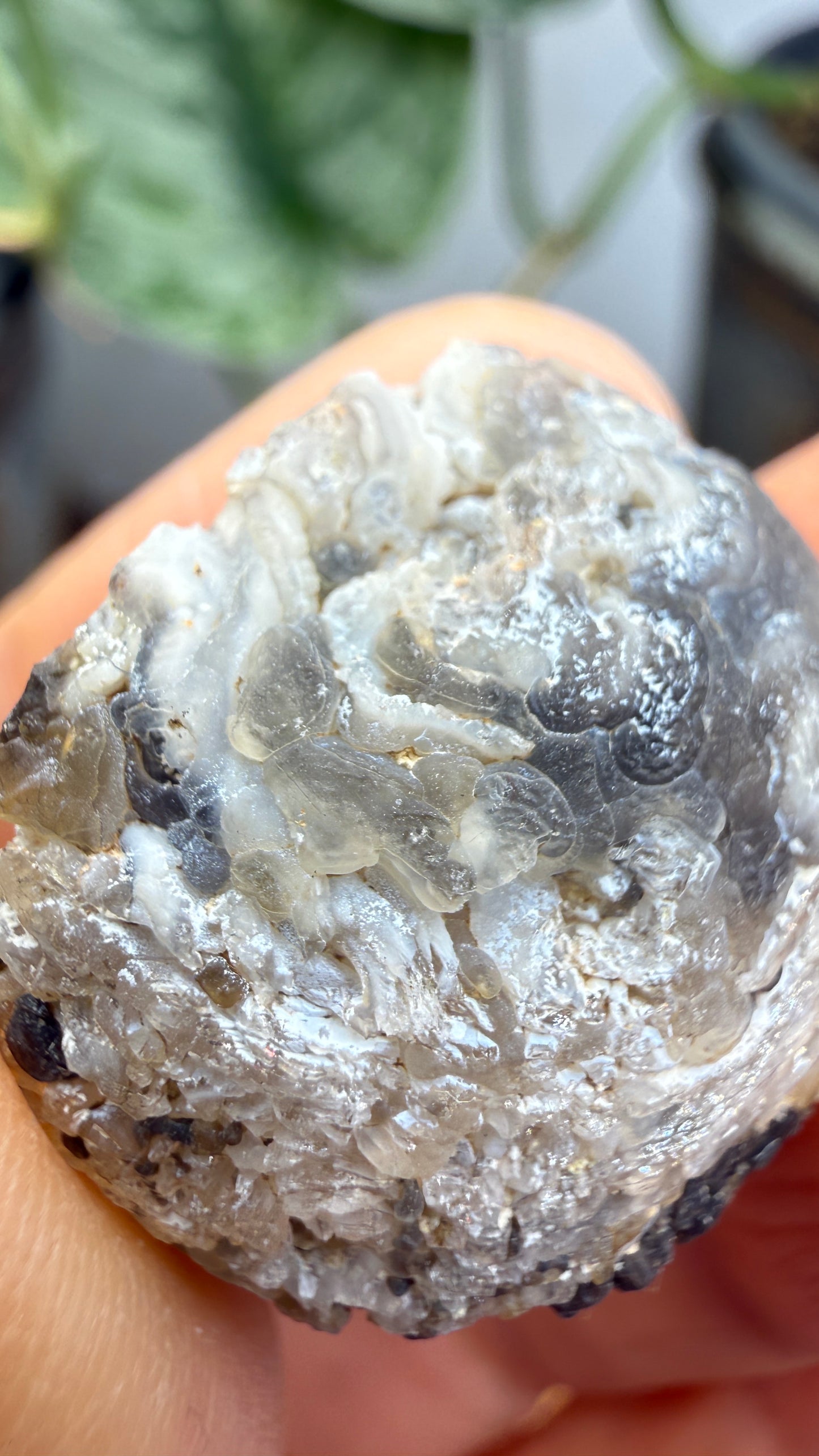Polished Agate Geode Half with Druzy Quartz