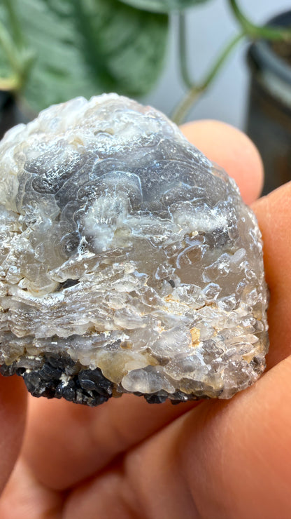 Polished Agate Geode Half with Druzy Quartz