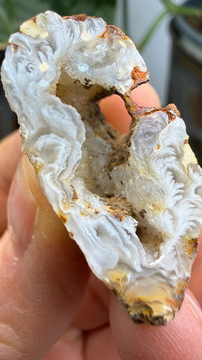 Polished Agate Geode Half with Druzy Quartz