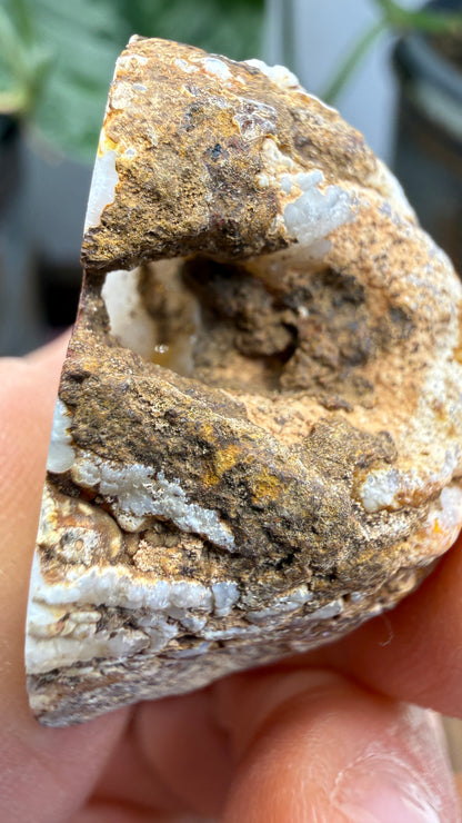 Polished Agate Geode Half with Druzy Quartz