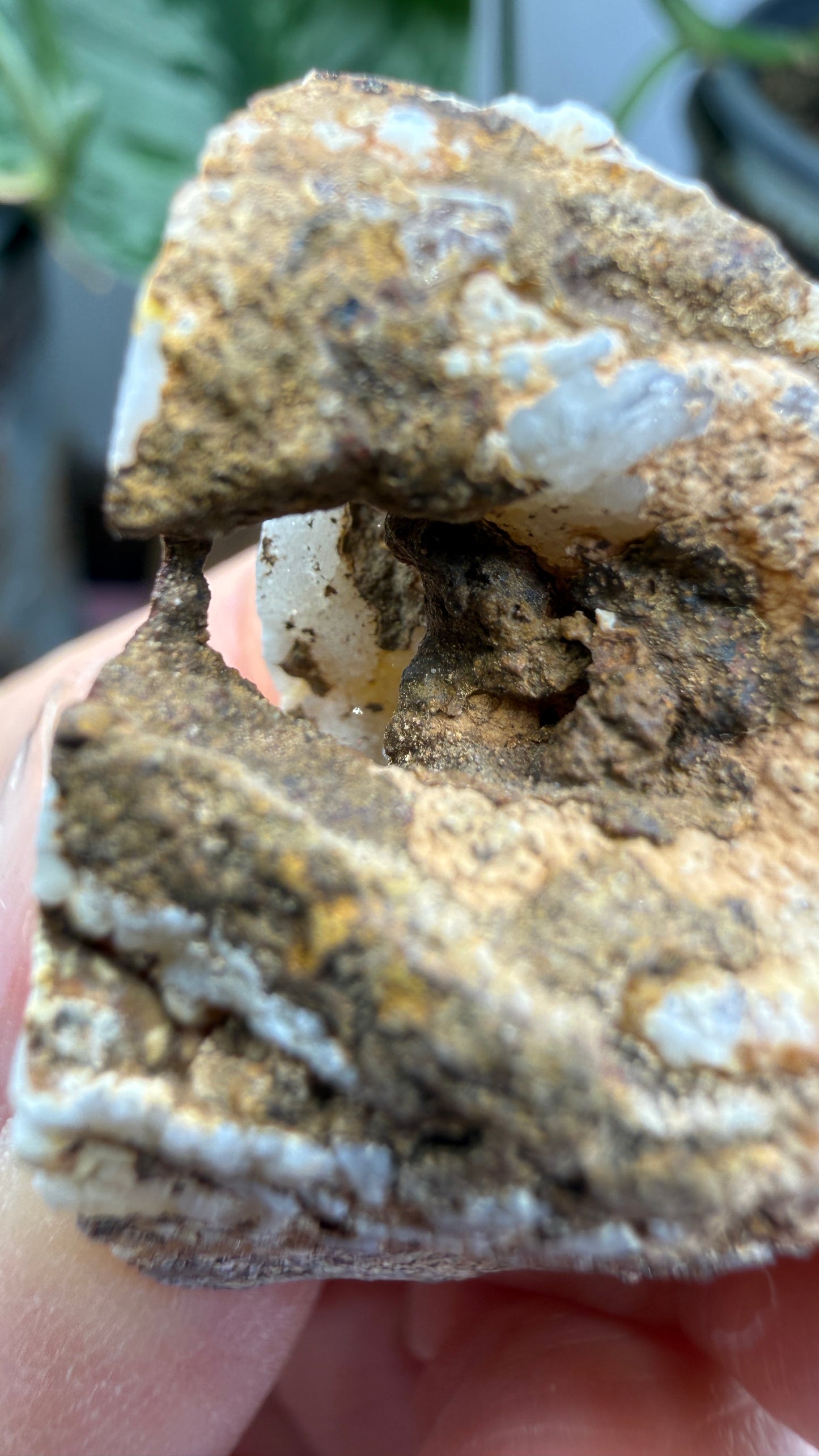 Polished Agate Geode Half with Druzy Quartz