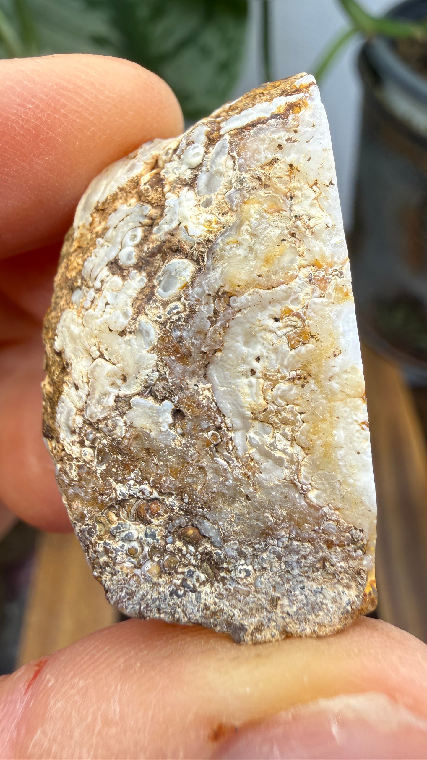 Polished Agate Geode Half with Druzy Quartz