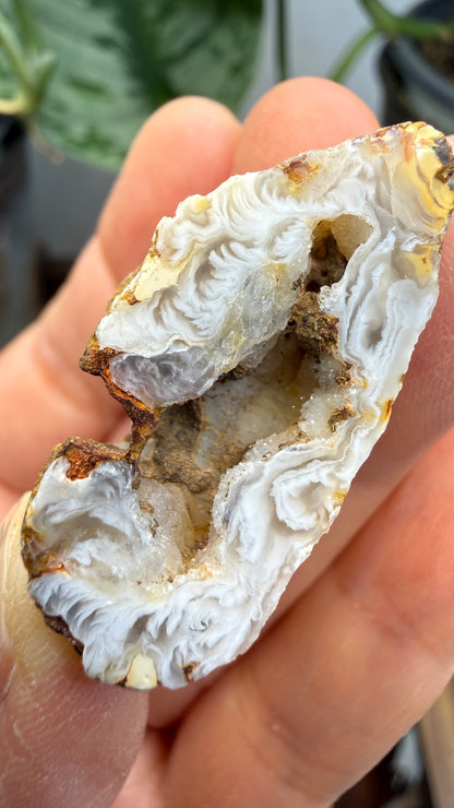 Polished Agate Geode Half with Druzy Quartz