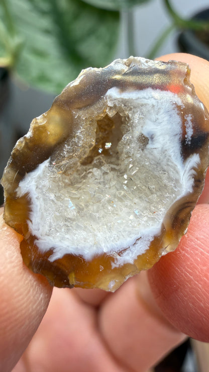 Polished Agate Geode Half with Druzy Quartz