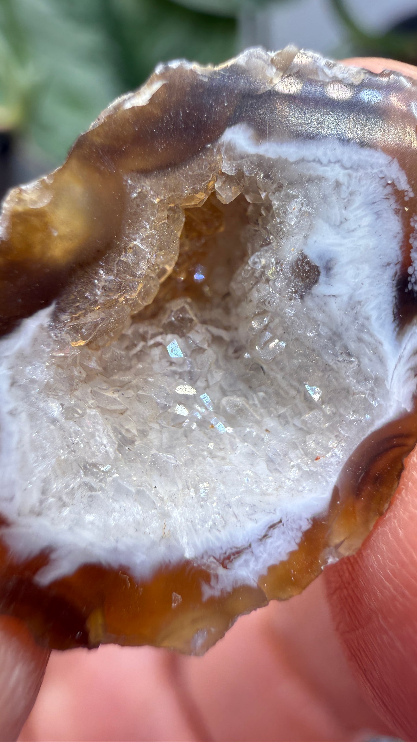 Polished Agate Geode Half with Druzy Quartz