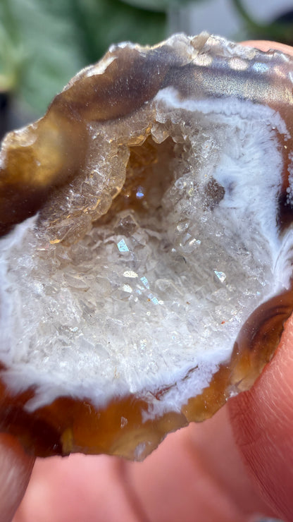 Polished Agate Geode Half with Druzy Quartz