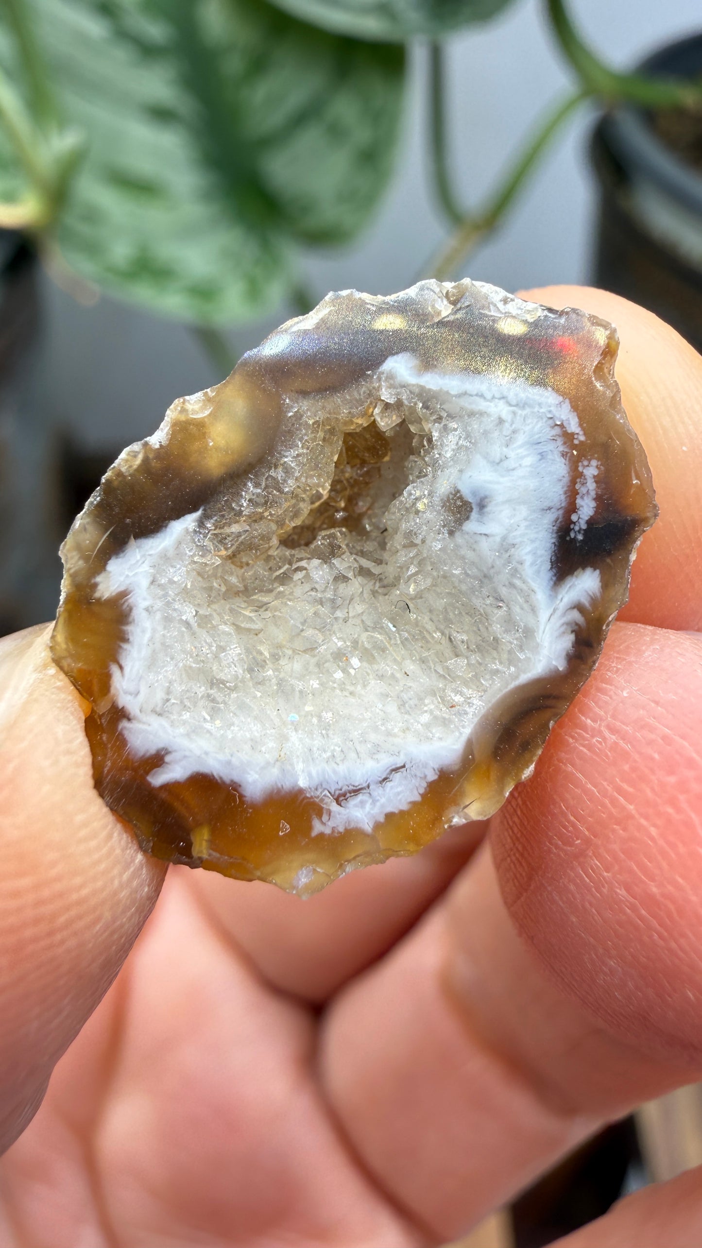 Polished Agate Geode Half with Druzy Quartz