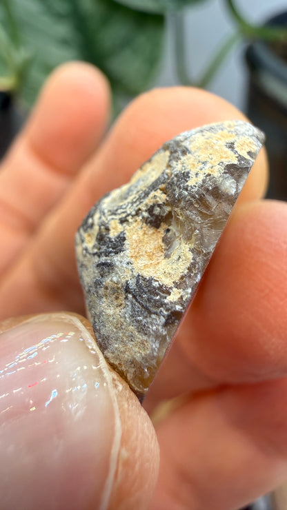 Polished Agate Geode Half with Druzy Quartz