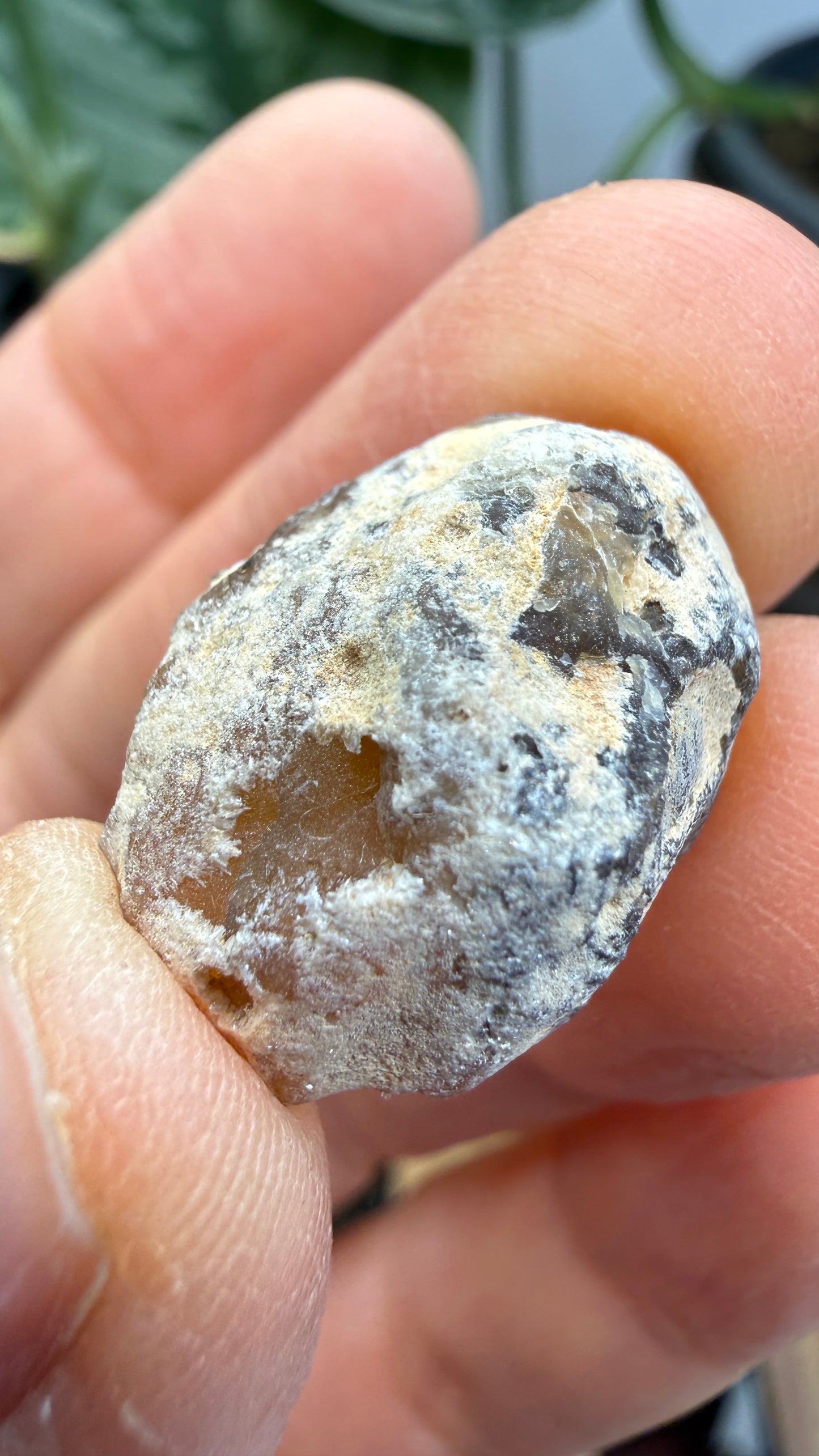 Polished Agate Geode Half with Druzy Quartz