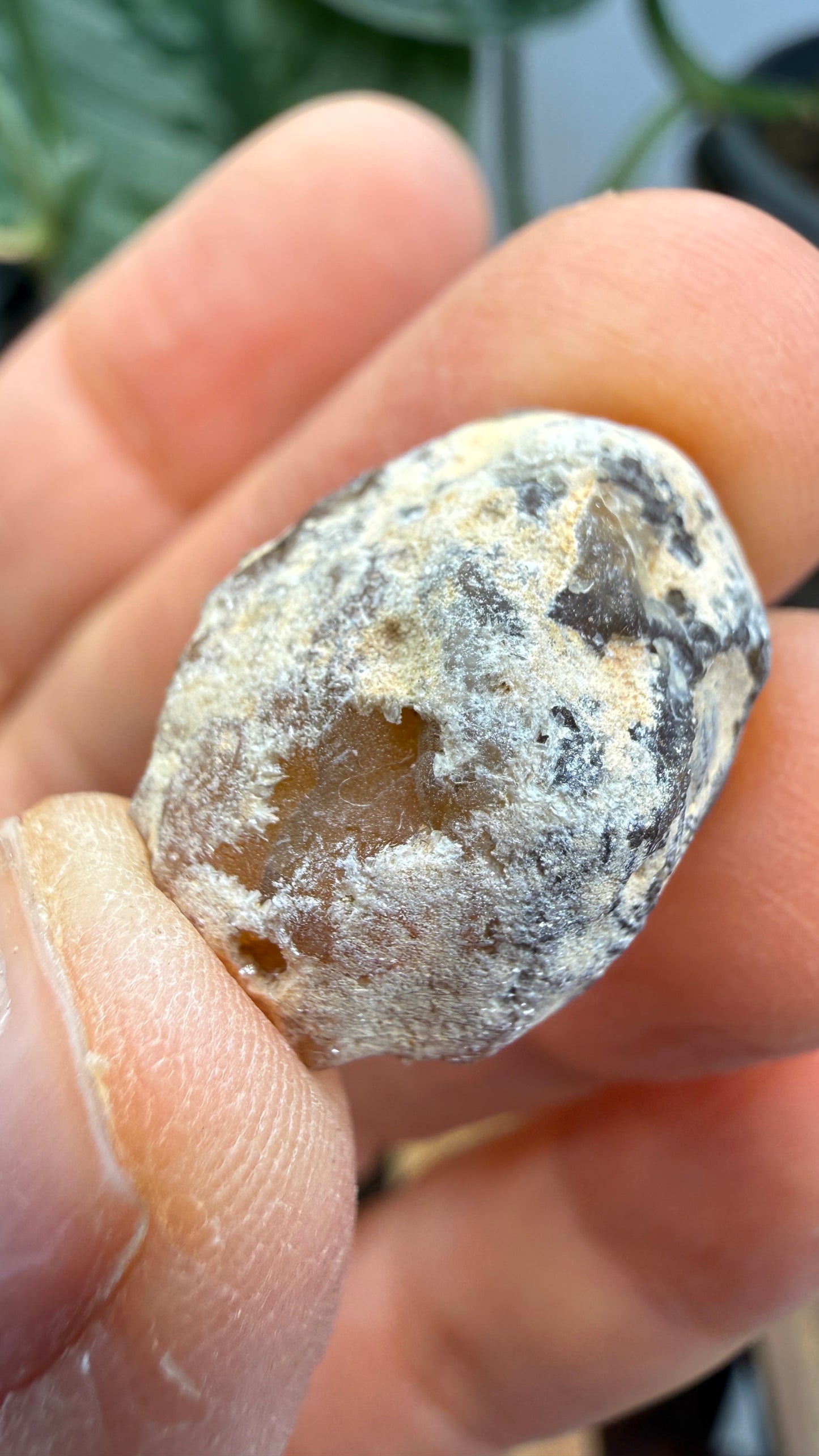 Polished Agate Geode Half with Druzy Quartz
