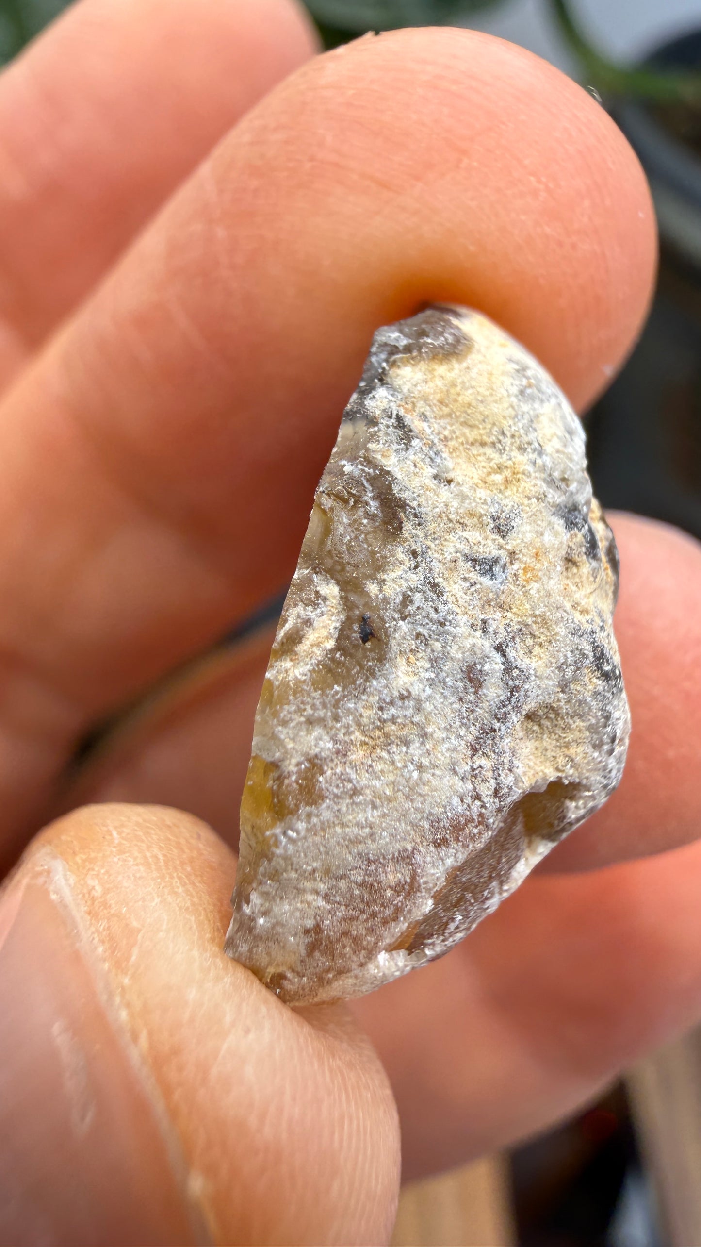 Polished Agate Geode Half with Druzy Quartz