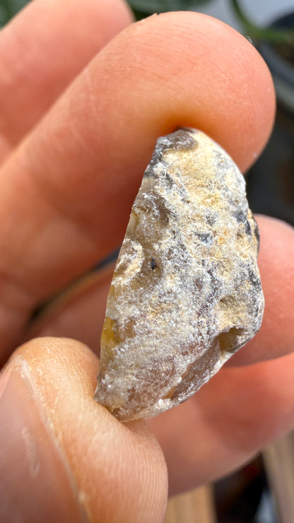 Polished Agate Geode Half with Druzy Quartz