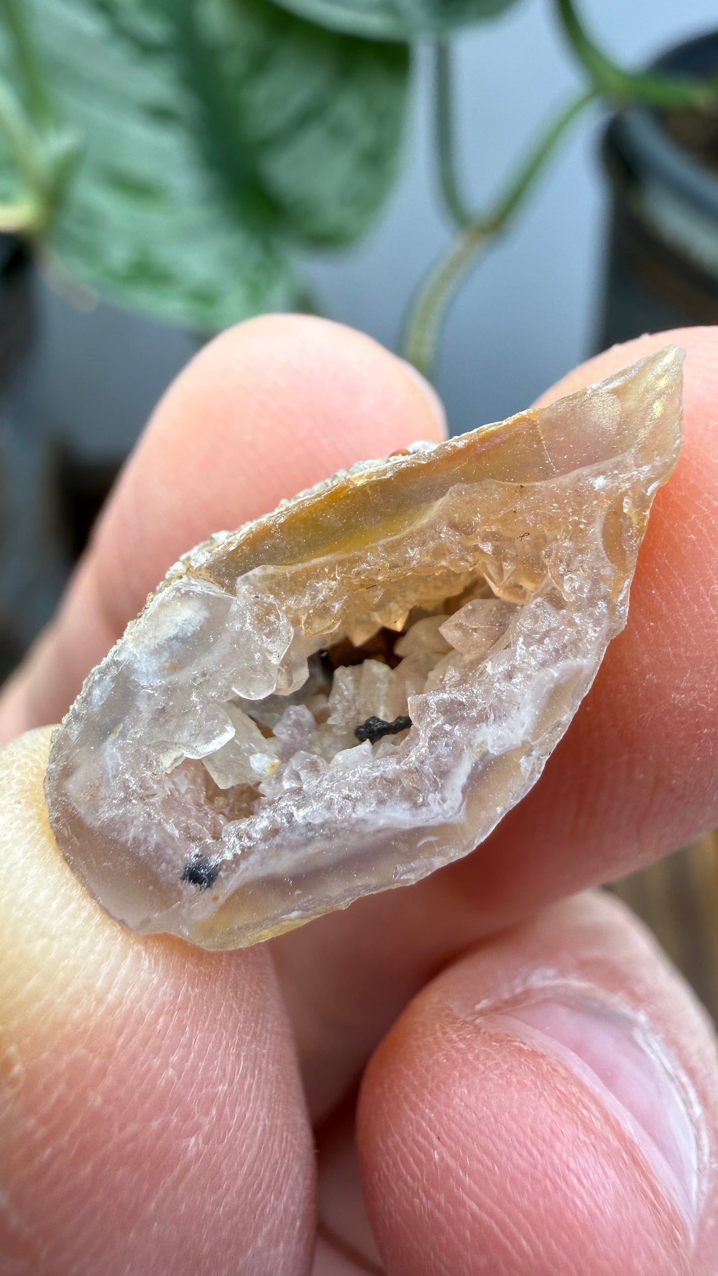 Polished Agate Geode Half with Druzy Quartz