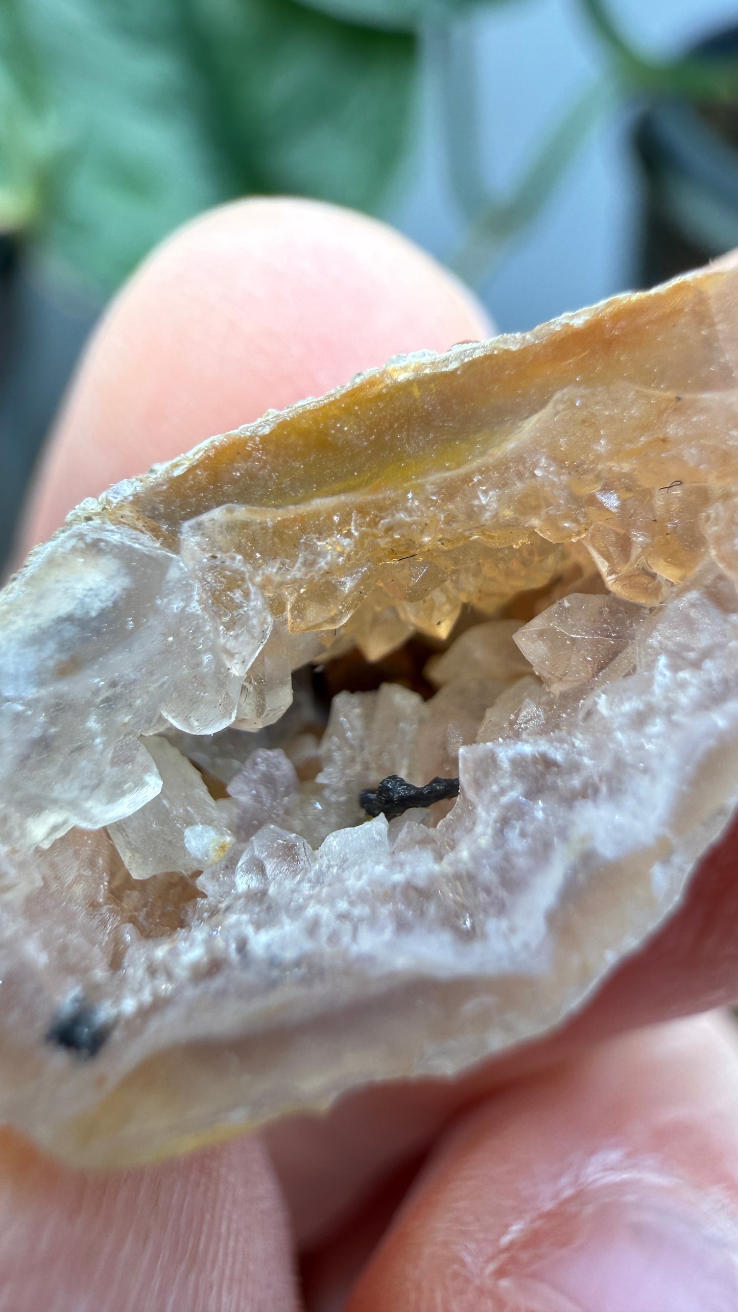 Polished Agate Geode Half with Druzy Quartz