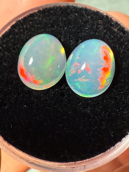 Welo Opal Cabochon Pair: 3.5 ct– 10x8x5mm