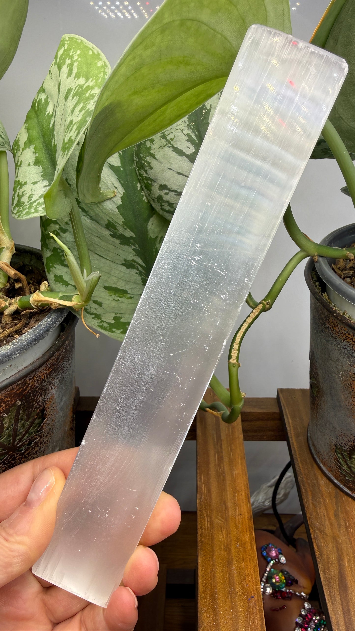 Satin Spar Selenite Charging Plate- 7.75" inches