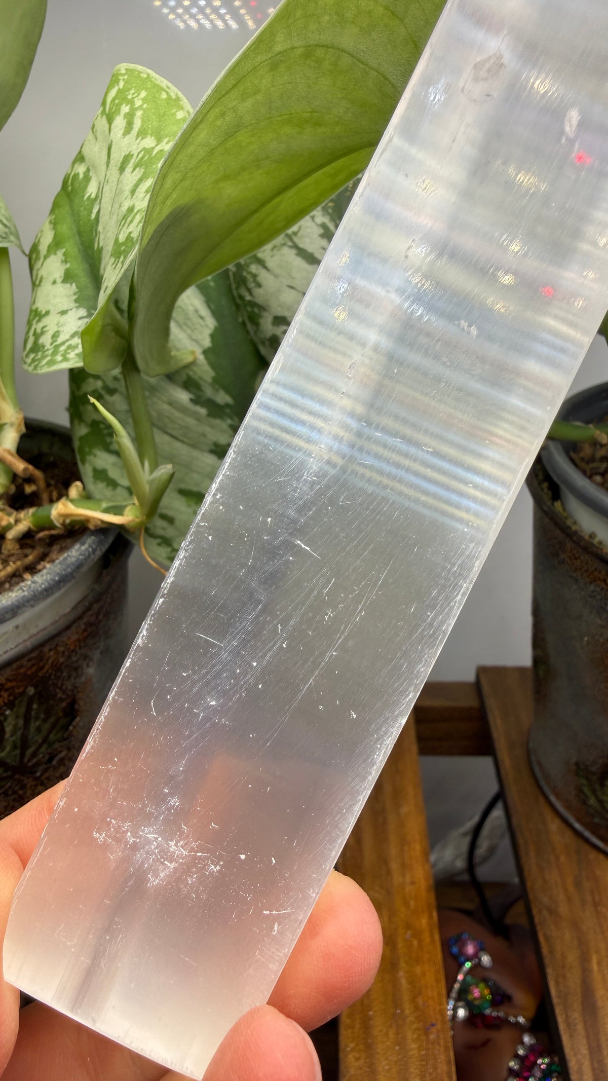 Satin Spar Selenite Charging Plate- 7.75" inches