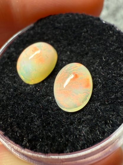 Welo Opal Cabochon Pair: 2.00 ct– 8x6x4mm