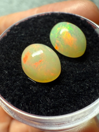 Welo Opal Cabochon Pair: 3.05 ct– 9x7x5mm