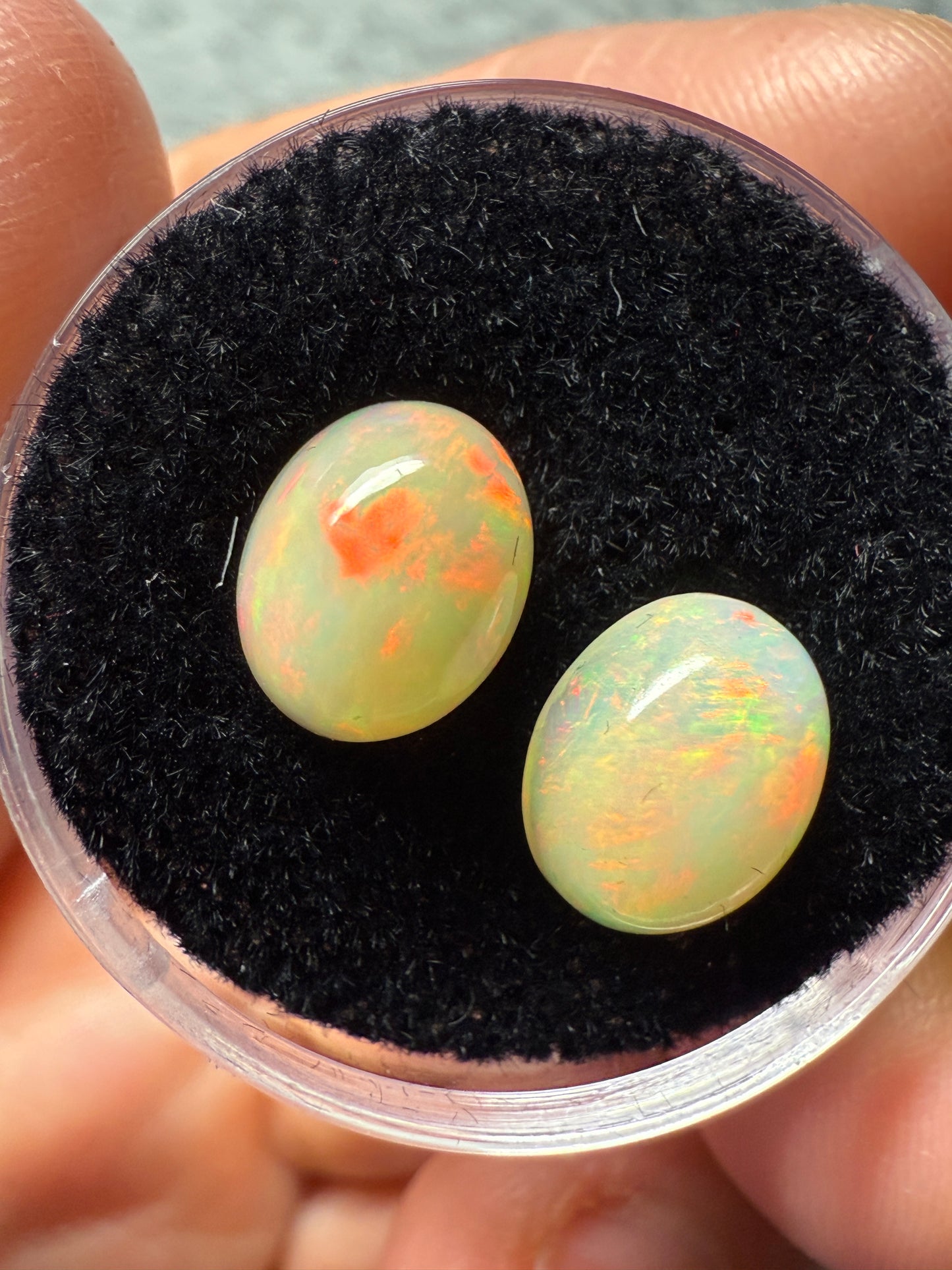 Welo Opal Cabochon Pair: 3.05 ct– 9x7x5mm